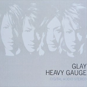 HEAVY GAUGE